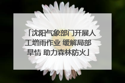 沈阳气象部门开展人工增雨作业 缓解局部旱情 助力森林防火