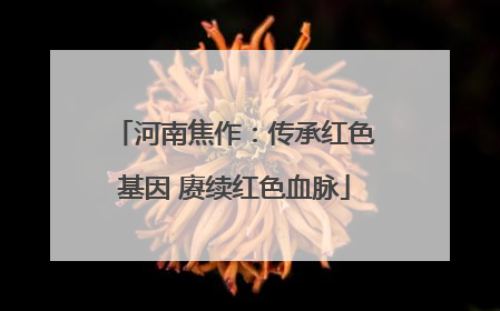河南焦作：传承红色基因 赓续红色血脉