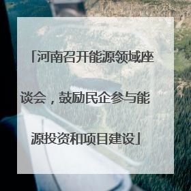 河南召开能源领域座谈会，鼓励民企参与能源投资和项目建设