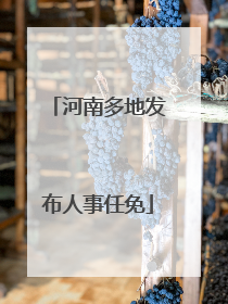 河南多地发布人事任免
