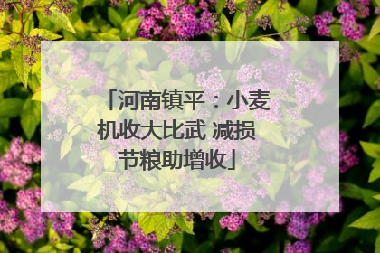河南镇平：小麦机收大比武 减损节粮助增收