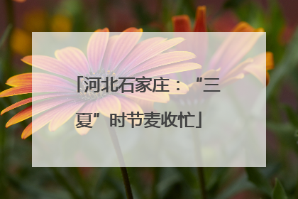 河北石家庄：“三夏”时节麦收忙