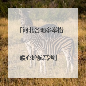 河北各地多举措暖心护航高考