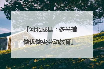 河北威县：多举措做优做实劳动教育