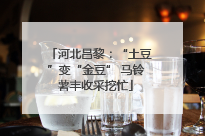 河北昌黎：“土豆”变“金豆” 马铃薯丰收采挖忙