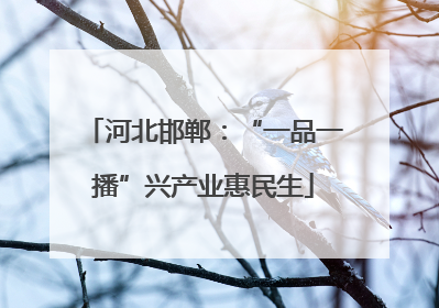 河北邯郸：“一品一播”兴产业惠民生