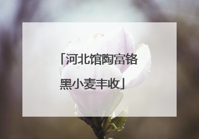 河北馆陶富铬黑小麦丰收