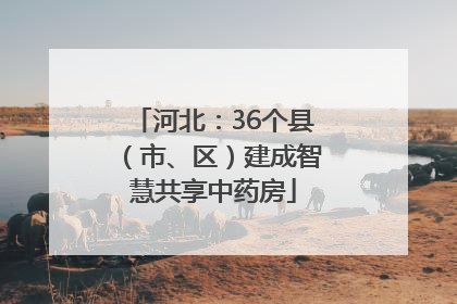 河北：36个县（市、区）建成智慧共享中药房