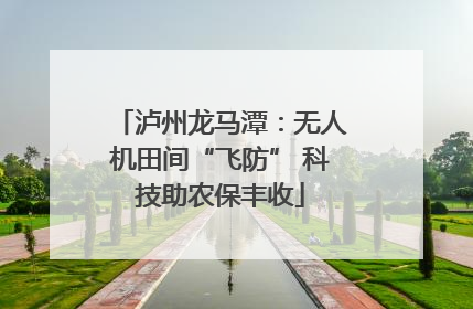 泸州龙马潭：无人机田间“飞防” 科技助农保丰收