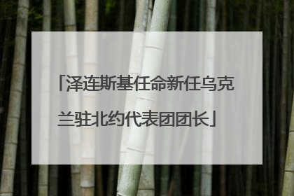 泽连斯基任命新任乌克兰驻北约代表团团长