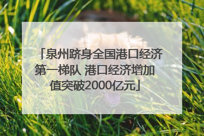 泉州跻身全国港口经济第一梯队 港口经济增加值突破2000亿元