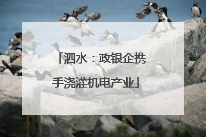 泗水：政银企携手浇灌机电产业