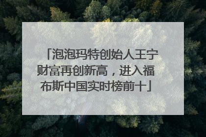 泡泡玛特创始人王宁财富再创新高，进入福布斯中国实时榜前十
