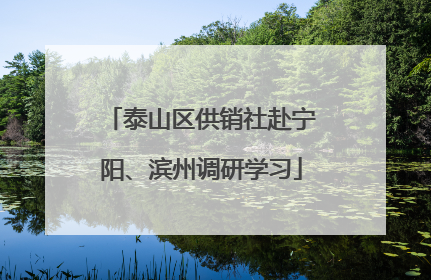 泰山区供销社赴宁阳、滨州调研学习