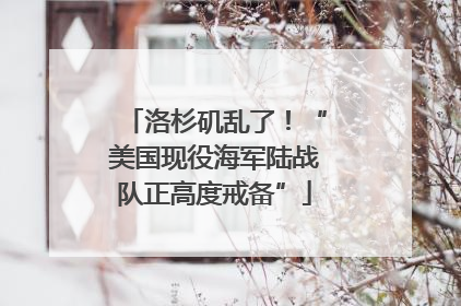 洛杉矶乱了！“美国现役海军陆战队正高度戒备”