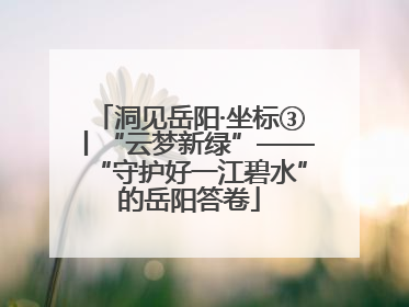 洞见岳阳·坐标③丨“云梦新绿”——“守护好一江碧水”的岳阳答卷