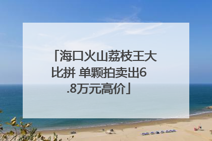 海口火山荔枝王大比拼 单颗拍卖出6.8万元高价