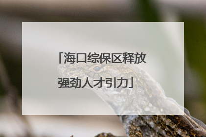 海口综保区释放强劲人才引力