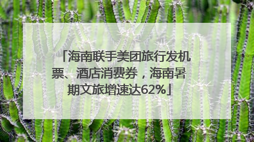 海南联手美团旅行发机票、酒店消费券，海南暑期文旅增速达62%