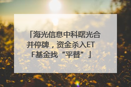 海光信息中科曙光合并停牌，资金杀入ETF基金找“平替”