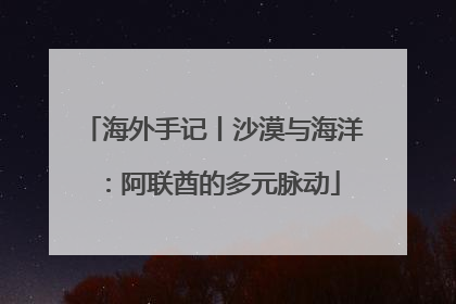 海外手记丨沙漠与海洋：阿联酋的多元脉动