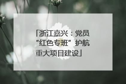 浙江嘉兴：党员“红色专班”护航重大项目建设