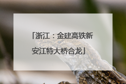 浙江：金建高铁新安江特大桥合龙