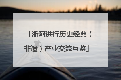 浙阿进行历史经典（非遗）产业交流互鉴