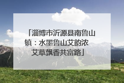 淄博市沂源县南鲁山镇：水墨鲁山艾韵浓 艾草飘香共富路