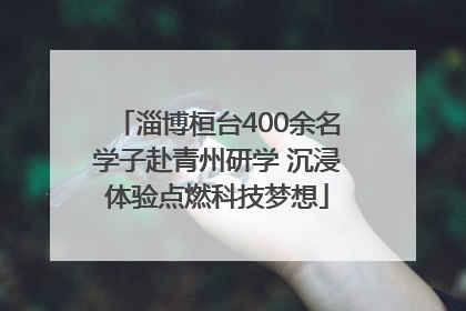 淄博桓台400余名学子赴青州研学 沉浸体验点燃科技梦想