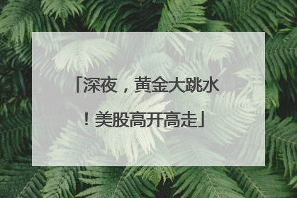 深夜，黄金大跳水！美股高开高走