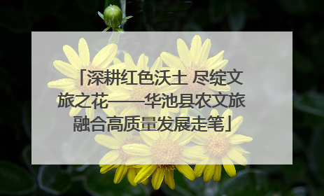 深耕红色沃土 尽绽文旅之花——华池县农文旅融合高质量发展走笔