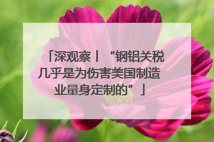 深观察丨“钢铝关税几乎是为伤害美国制造业量身定制的”