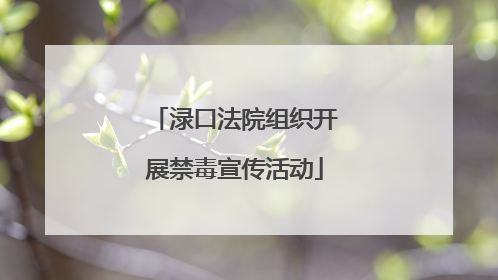 渌口法院组织开展禁毒宣传活动