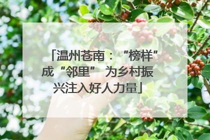 温州苍南：“榜样”成“邻里” 为乡村振兴注入好人力量