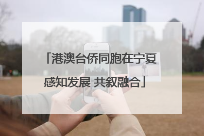 港澳台侨同胞在宁夏感知发展 共叙融合
