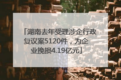 湖南去年受理涉企行政复议案5120件，为企业挽损4.19亿元