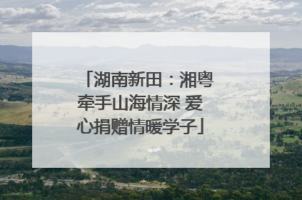 湖南新田：湘粤牵手山海情深 爱心捐赠情暖学子