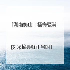 湖南衡山：杨梅缀满枝 采摘尝鲜正当时