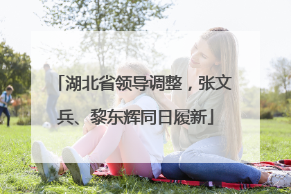 湖北省领导调整，张文兵、黎东辉同日履新