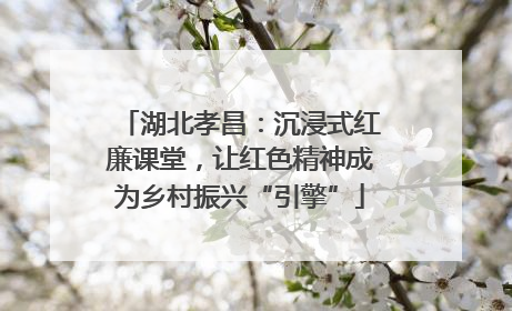 湖北孝昌：沉浸式红廉课堂，让红色精神成为乡村振兴“引擎”