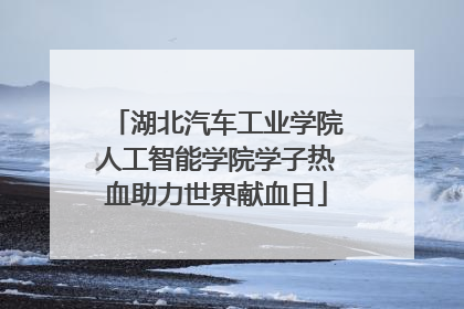 湖北汽车工业学院人工智能学院学子热血助力世界献血日