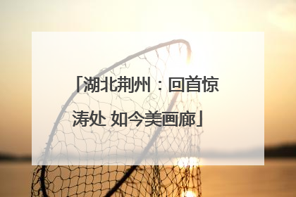 湖北荆州：回首惊涛处 如今美画廊