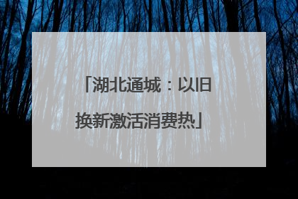 湖北通城：以旧换新激活消费热