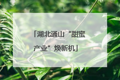 湖北通山“甜蜜产业”焕新机