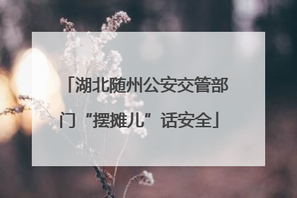 湖北随州公安交管部门“摆摊儿”话安全