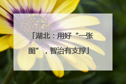 湖北：用好“一张图”，智治有支撑