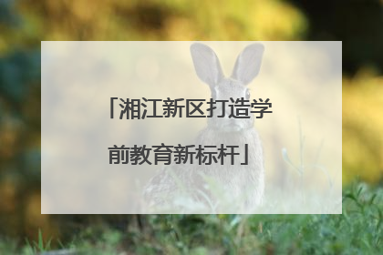 湘江新区打造学前教育新标杆