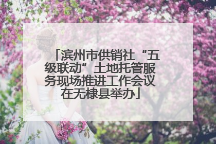 滨州市供销社“五级联动”土地托管服务现场推进工作会议在无棣县举办
