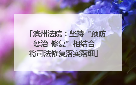 滨州法院：坚持“预防-惩治-修复”相结合 将司法修复落实落细